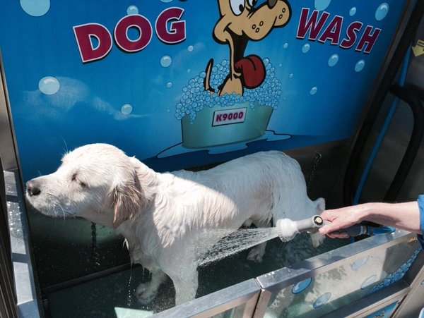 Dog Wash Brisbane - Redbank Plains - Luxe Car Wash